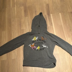 Zadig tröja  - Har nästan aldrig används 