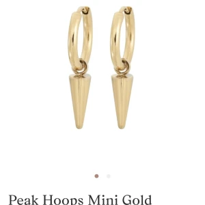 Edblad örhängen - säljer mina fina örhängen från Edblad, köptes i vintras, knappt använda💞