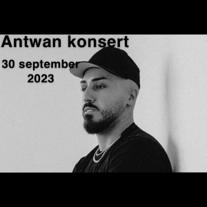 ANTWAN biljett - Hej! Vi är två tjejer som funderar på att sälja våra 2 Antwan biljetter. Vi vill se vad folk kan tänka sig och betala. Hör av  er! 🩷