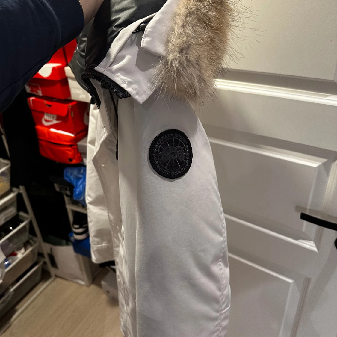 Canada Goose  - 91