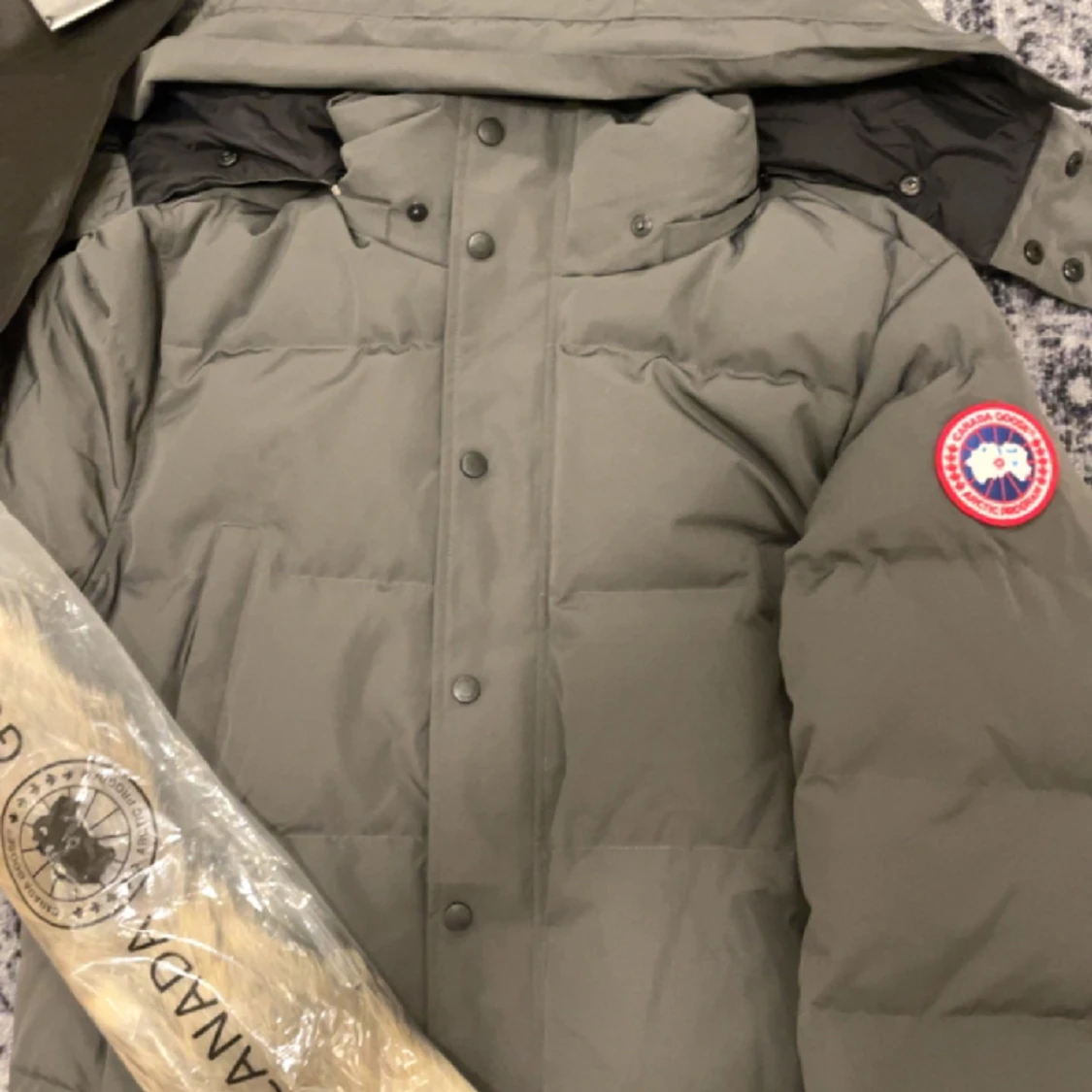 Canada goose Wyndham - 90