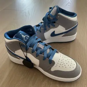 Ett par helt nya Air Jordan 1    Färg : cement grey true blue 
