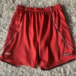 Trängs shorts  - Tränings shorts i storlek L, fint skick 