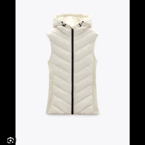 zara väst  - skriv för att veta allt  