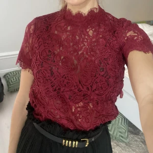 Spetstopp från zara - Blus i spets från zara Dragkedja i ryggen Sparsamt använd 