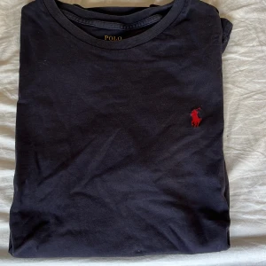 Polo t-shirt - Säljer pga att jag inte använder längre. Ralph Lauren t-shirt. Storlek M
