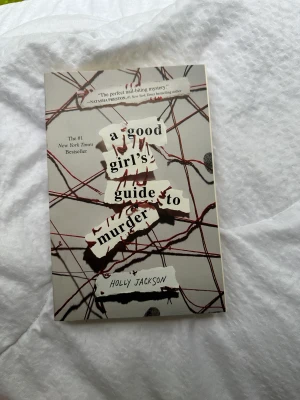 Bok  - I bra skick, nästan nyskick. 