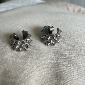 Edblad örhängen  - Skitsnygga örhängen från Edblad, bara använda några få gånger, nypris 450kr säljer för 250. 