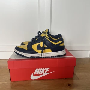 Nike dunk low - Fint skick! Storlek 43. Hör av dig vid funderingar!