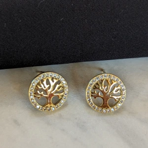 Örhängen  - Helt nytt örhängen 