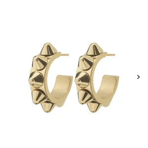 Edblad örhängen - Säljer dessa super fina edblad örhängena i guld💘 250kr💘