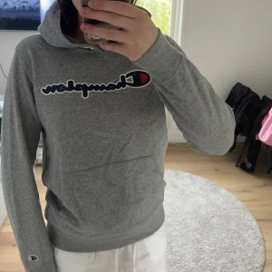 Champion hoodie - Grå champion hoodie i storlek 162/167