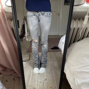 Säljer ett par gråa true religon jeans som är lågmidjade med hål på knäna. Jag har sytt om dem längst ner. 