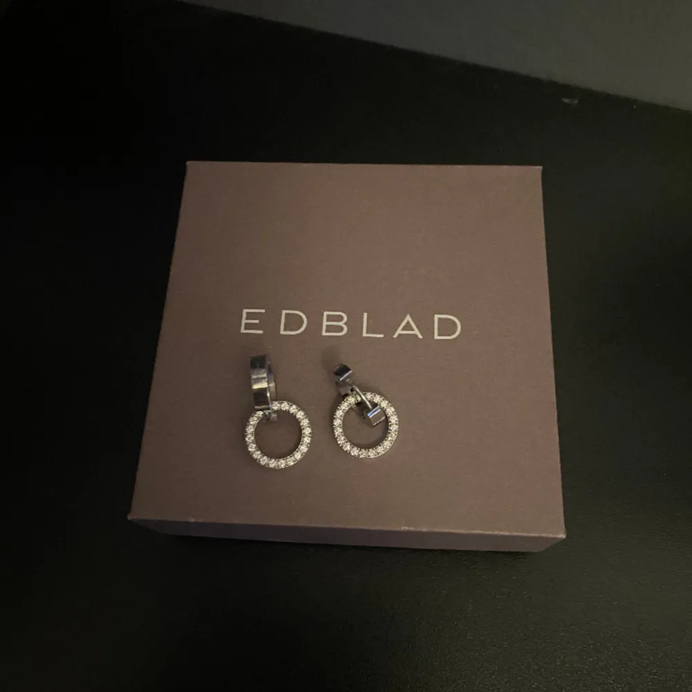 Helt nya örhängen från Edblad. Köpte dem för 400kr och använda ett fåtal gånger.. Accessoarer.