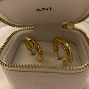 Örongången  - Ett par helt nya öronhängen som är helt oanvända från ANI. Perfekt att unna sig till jul eller ge bort till någon nära. Säljer då jag inte får användning av guld smycken.  Skriv vid frågor. Nypris 850kr 