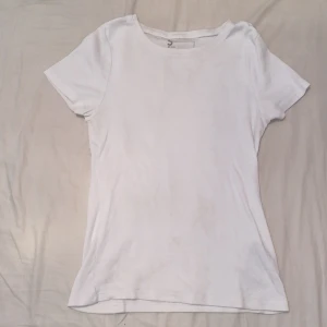 Fsbn sister tshirt storlek S - Detta är en fsbn sister tshirt som är i jätte bra skick, knappt använt den. Inga skador på den, den sitter fint och tight.  Skriv för fler frågor!