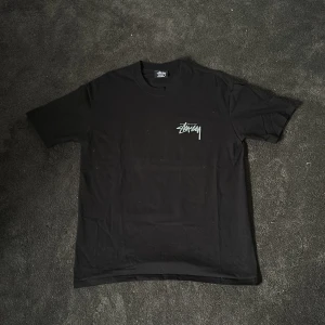 Stussy T-shirt - Säljer denna feta stussy tisha släppt tidigare i år. Köpt på sns i våras. Använd endast 1 gång! Storlek L. Skriv vid intresse