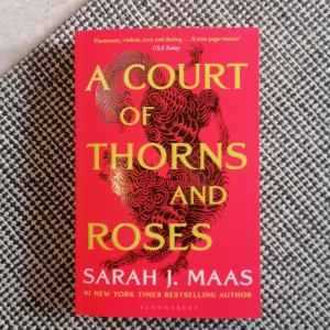 A court of thorn and roses - Fint skick, skriven på engelska