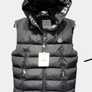 ⚠️SÖKER⚠️ - Söker en sån väst vad för pris som helst!!!!! Helst under 2000 dock 