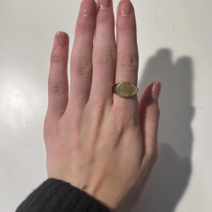 Ring  - Jätte fin ring från pilgrim. Använt ett fåtal gånger och i jätte fick skick