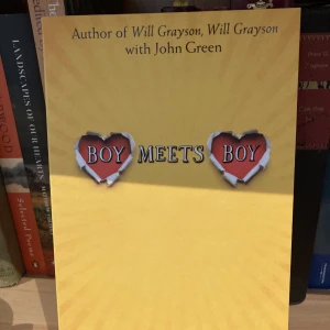 Boy meets boy - Boy meets boy av David Levithan