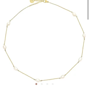 edblad halsband - snyggt guldhalsband från edblad. 14k guld❤️ Använt men inga tecken på användning. skick 10/10