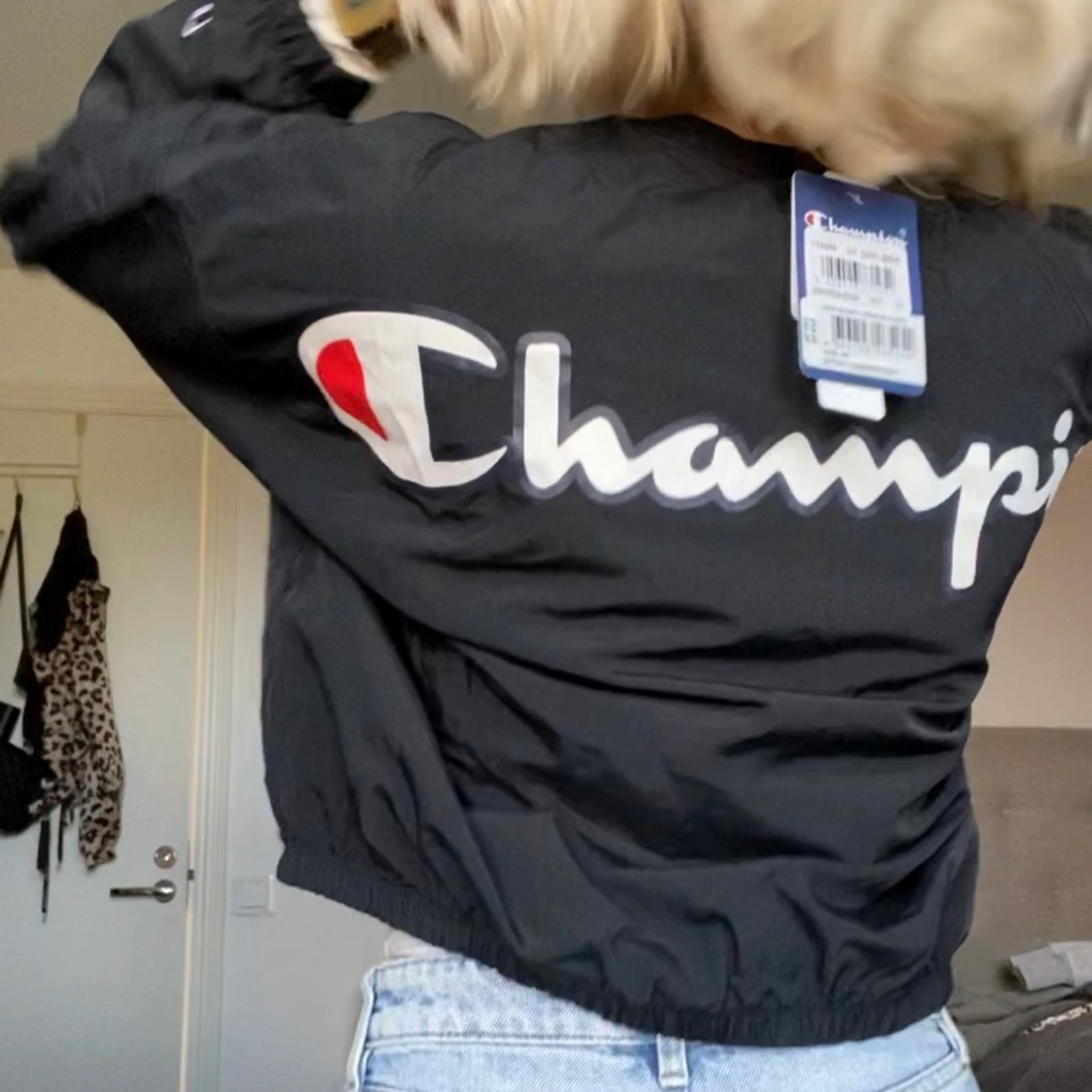 Vindjacka champion - 90