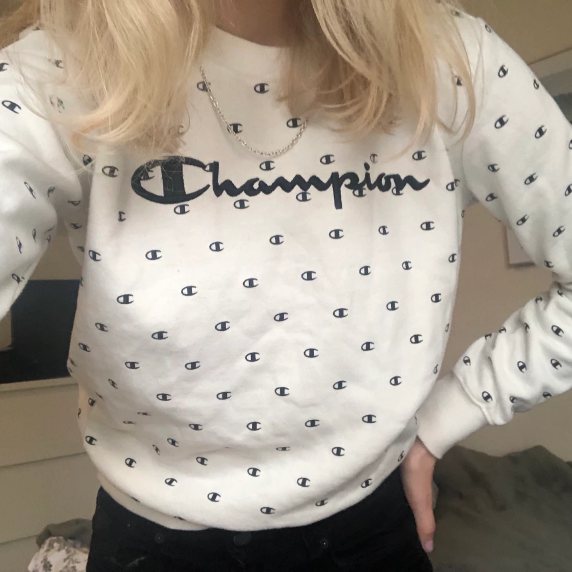 Champion Sweatshirt