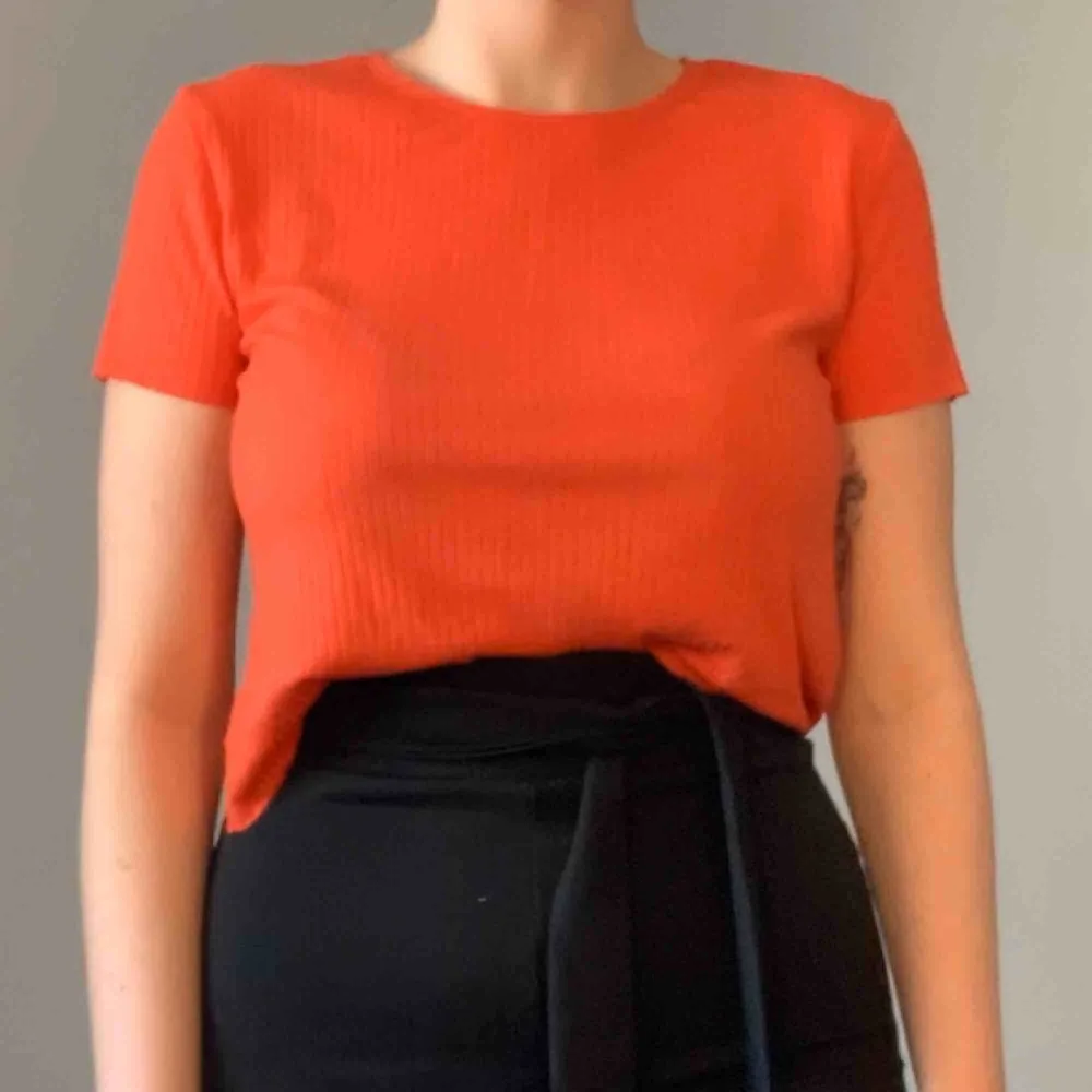 Orange tröja från bikbok i storlek M. 100kr inklusive frakt . T-shirts.