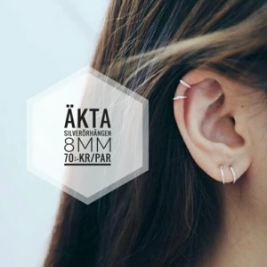  - silverörhängen (finns kvar ett par)