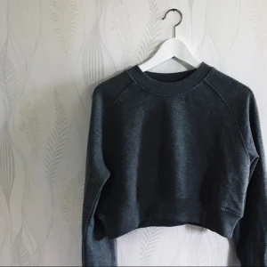  - Ljusgrå cropped sweatshirt från Weekday. Säljes för 80kr, frakt tillkommer.  Tröjan passar strl 36-38 Betalning sker via swish.  