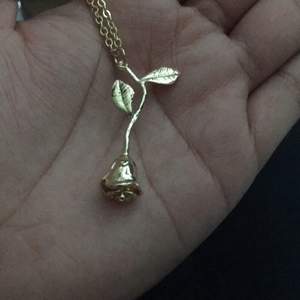 Ros halsband i guld ( tror inte det är äkta)