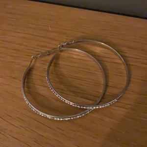 Fina stora ringörhängen i silverfärg med stenar  - Stora ringörhängen i silverfärg med stenar runt halva ringen. Använda endast vid 2 fester. Gratis frakt!