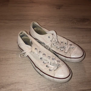 Converse vita 40 - St 40, använda 