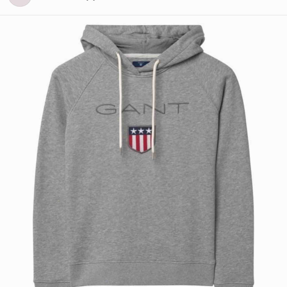 Helt ny grå (Gant hoodie)   . Huvtröjor & Träningströjor.