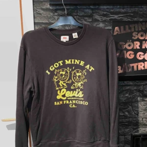  - Långärmad tröja köpt på levis i Berlin för några år sen. Knappt använd. Köparen står för frakten