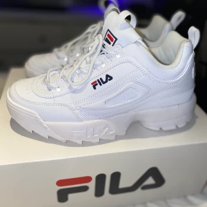 Fila Disruptor || Storlek 39 - Använda max 3 gånger, men dom är för stora för mig därav att jag nu säljer dom. Inköpta för 1200 kr