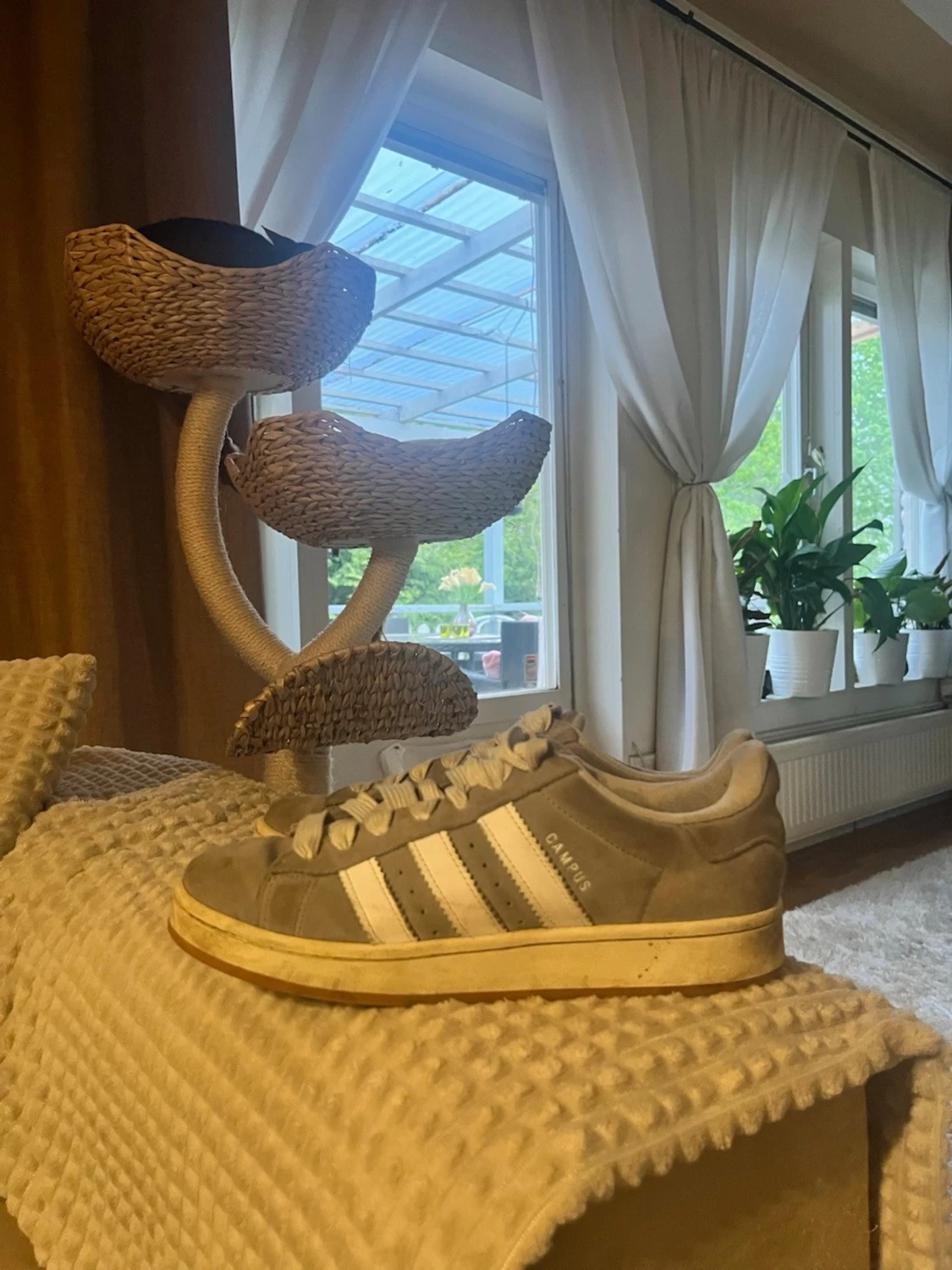 Adidas Campus Grå 00'