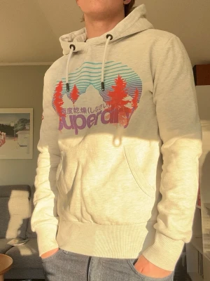 Grå superdry hoodie - En jättesnygg och clean ljusgrå hoodie från superdry som passar perfekt nu till våren!🤩 I princip nyskick😁Storlek S, modellen är 176cm lång. Skicka gärna frågor! Mvh