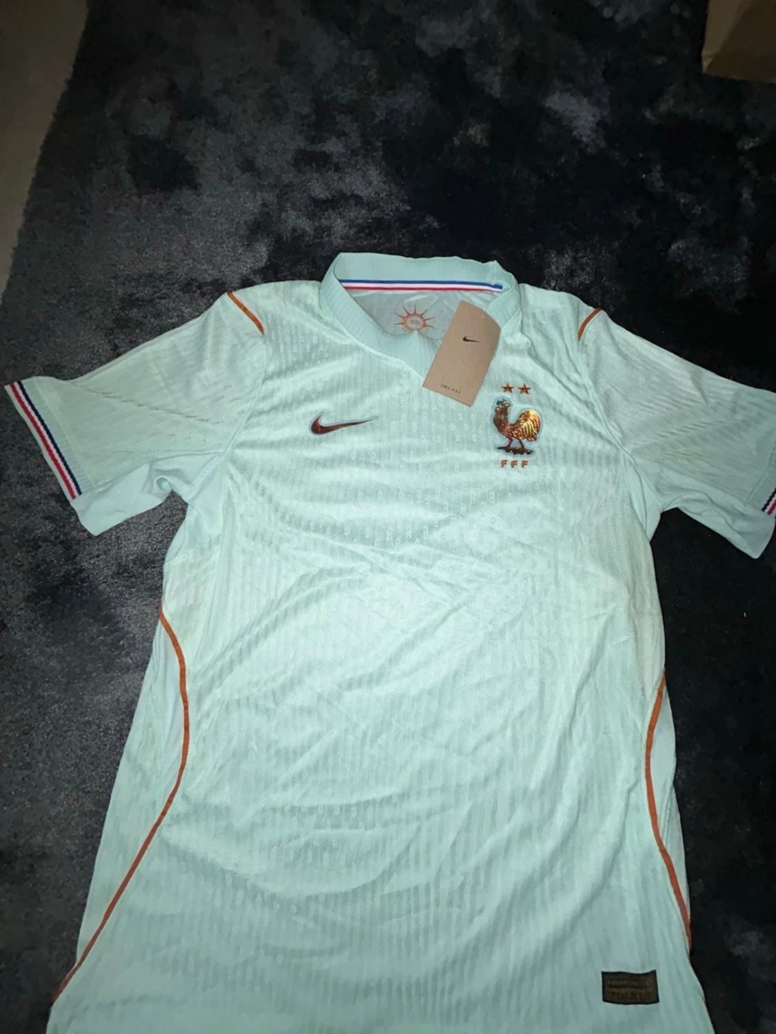 Frankrike Nike fotbollströja ljusgrön