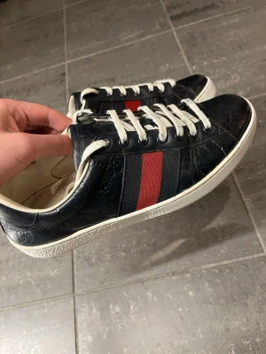 Gucci ace skor - Fint skick! Storlek 40 kan passa större. Självklart äkta. Endast skorna medföljer. Snabb affär=bättre pris! 