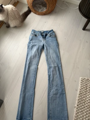 Ljusblå bootcut jeans från madlady - Säljer ett par ljusblå bootcut jeans från Madlady. Jeansen har klassisk femficksmodell, normal midja och utsvängda ben. Tillverkade i denim med en skön stretch. Perfekta för en avslappnad och trendig look.Jag är cirka 172 cm men kan också sys upp. 