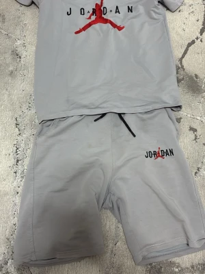 Grå Jordan t-shirt med röd logga - Snygg grå t-shirt från Jordan med den klassiska röda Jumpman-loggan och svart text på bröstet. T-shirten har en avslappnad passform och är tillverkad i mjukt material, perfekt för en sportig och street-inspirerad stil.