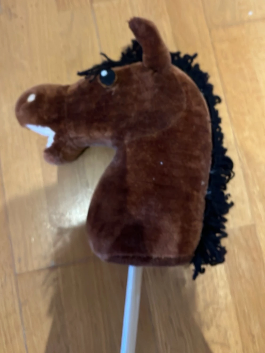 Brun käpphäst med svart man - 1