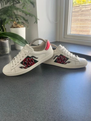 Gucci Ace snake - || Gucci ace snake || skick:9/10 || strl 41 (passar som 42/43) || Innermått: 27,2 cm || Pris: 2399 || Pris går att diskutera o byte är intressant || Det är bara o höra av dig vid minsta fråga elr intresse! ||