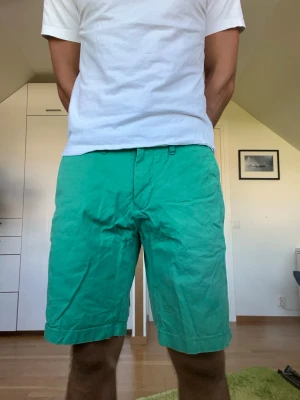 Gröna shorts i bomull - Gröna shorts från Tommy hilfiger. Strl 32. Inga defekter. Modellen är 178 cm och väger 77kg. Hör gärna av dig vid frågor!
