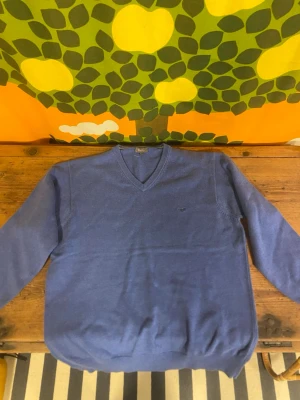 Blå V-ringad tröja från Wolsey - Snygg blå V-ringad tröja från Wolsey med diskret logga broderad på bröstet. Tröjan har långa ärmar och ribbade muddar vid ärmslut och nederkant. Perfekt att bära över en skjorta för en clean och klassisk look.