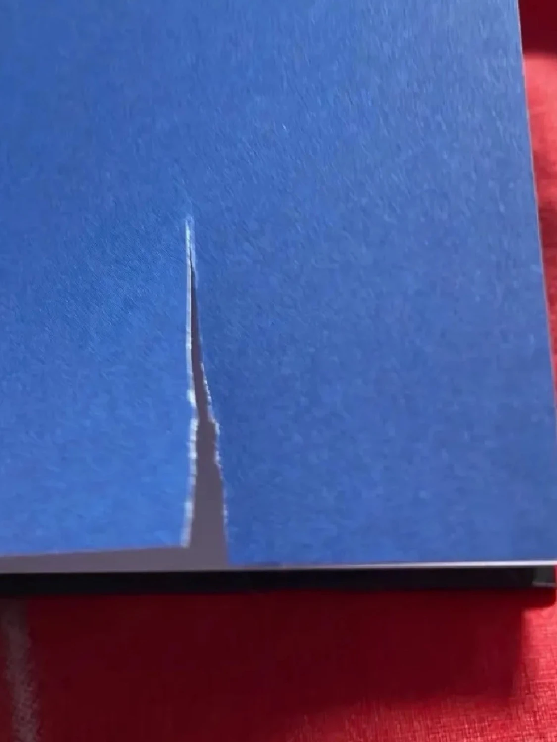 Bok om Marcus & Martinus - 2