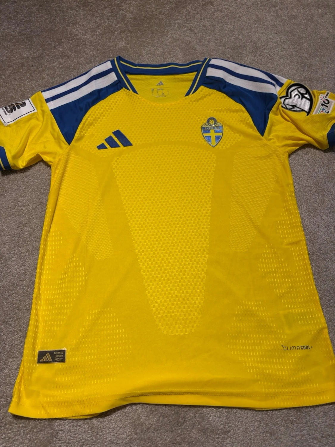 Sverige VM tröja Hemmakit