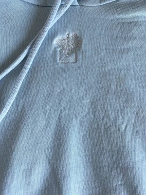 Ljusblå hoodie med broderad detalj - Snygg ljusblå hoodie med huva och dragsnören. På bröstet finns en broderad detalj med ett kuvert och blommor. Hoodien har en klassisk känguruficka framtill och är gjord i mjukt bomullstyg. Den är sliten längst ut på arm- mudden, men det märks knappt av. Pris går stt diskutera! Det står ingen storlek, men gissar på XS-S. Skriv gärna om du har frågor!💗